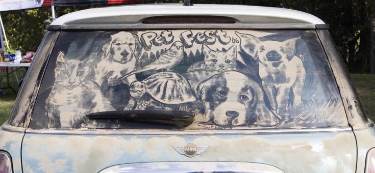 Pet_Fest_1 Pet_Fest_1