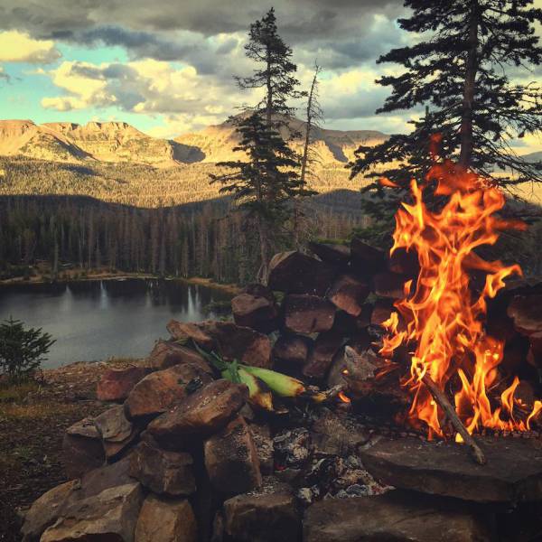 a_few_things_that_make_being_alive_so_amazing_640_22