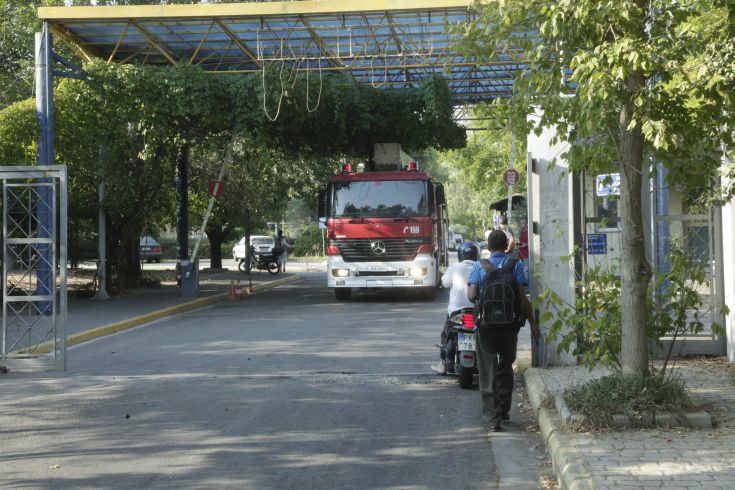 Άπλετο φως στην τραγωδία στο Δαφνί απαιτεί το ΠΑΣΟΚ