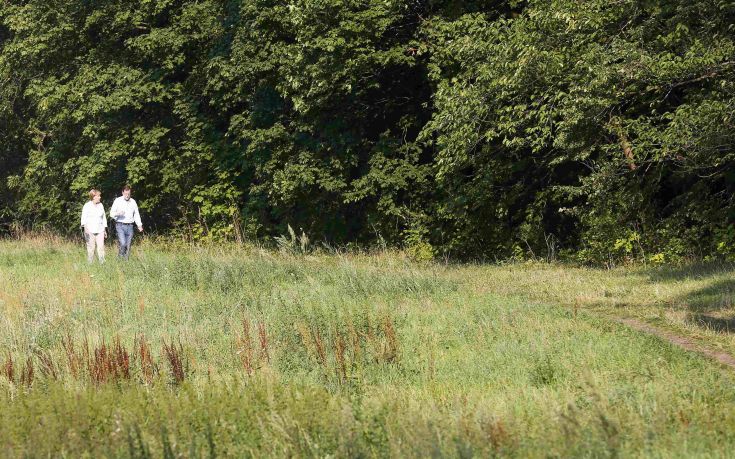ΜΕΡΚΕΛ ΡΑΧΟΙ