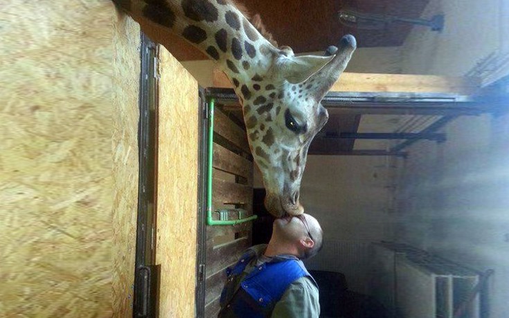 Τα ζώα έχουν φάση