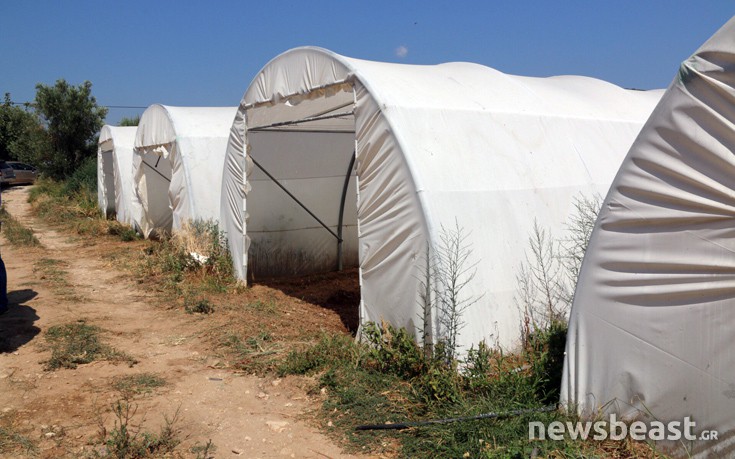 marathonas_psinakis2 marathonas_psinakis2