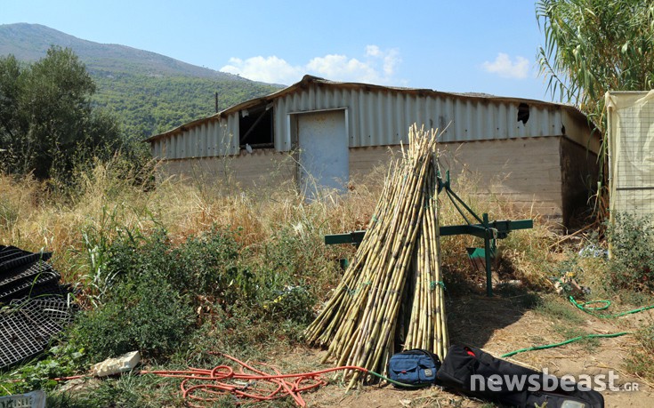 marathonas_psinakis4 marathonas_psinakis4