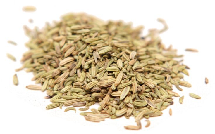 marathosporos marathosporos