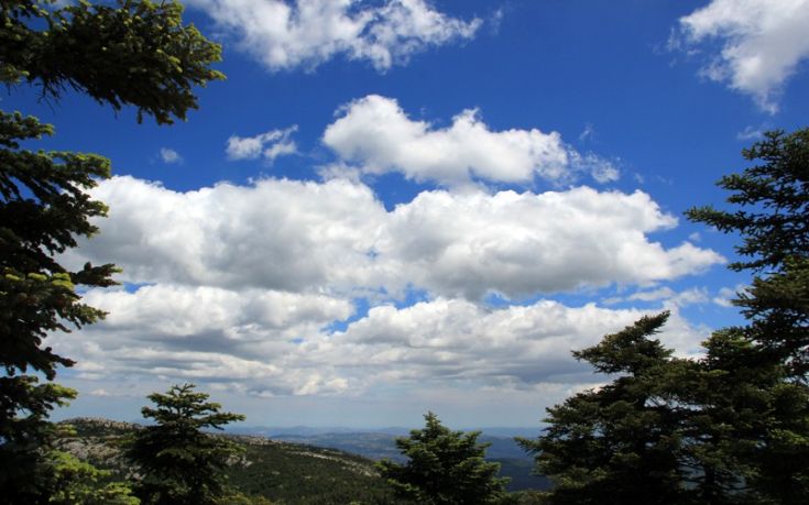 Πεζοπορική βόλτα στο ελατόδασος της Πάρνηθας