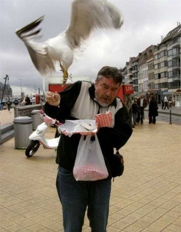 pics-taken-at-the-right-moment-17