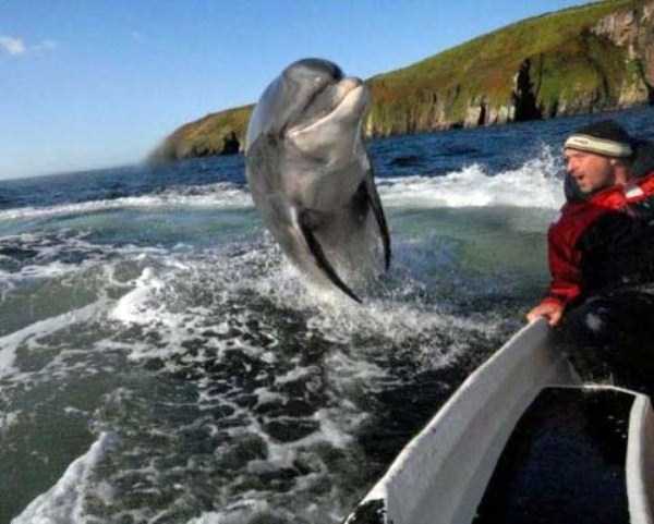 pics-taken-at-the-right-moment-3