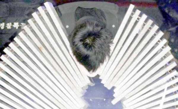 pics-taken-at-the-right-moment-4