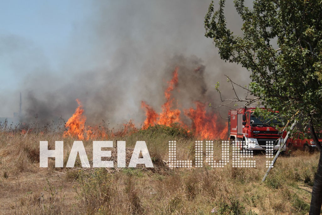 Στάχτη έγιναν 40 στρέμματα στη Μανωλάδα