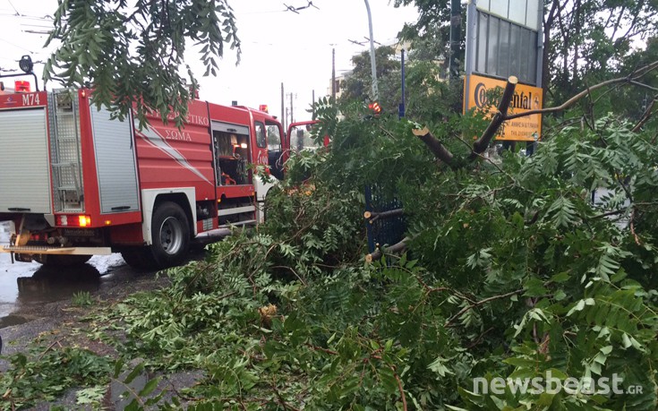 ptwsidentrou2 ptwsidentrou2