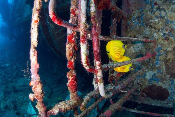 salem_express_12 salem_express_12