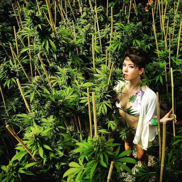 this_marijuana_businessman_is_the_next_king_of_instagram_640_07 this_marijuana_businessman_is_the_next_king_of_instagram_640_07