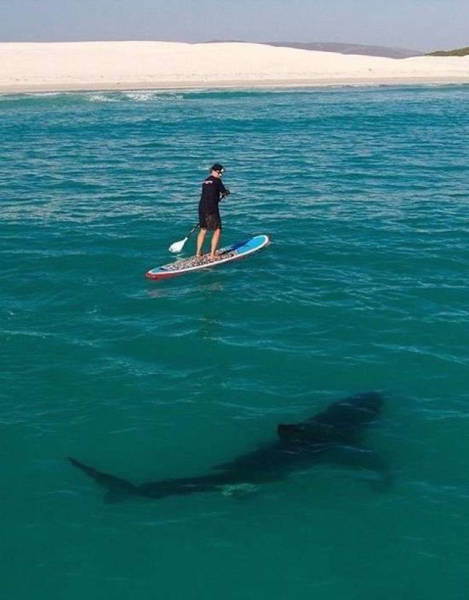 this_sht_is_getting_crazy_640_16