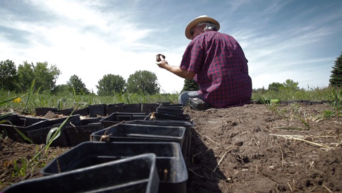 van_gogh_02 van_gogh_02