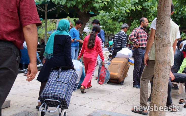 viktoamed1 viktoamed1