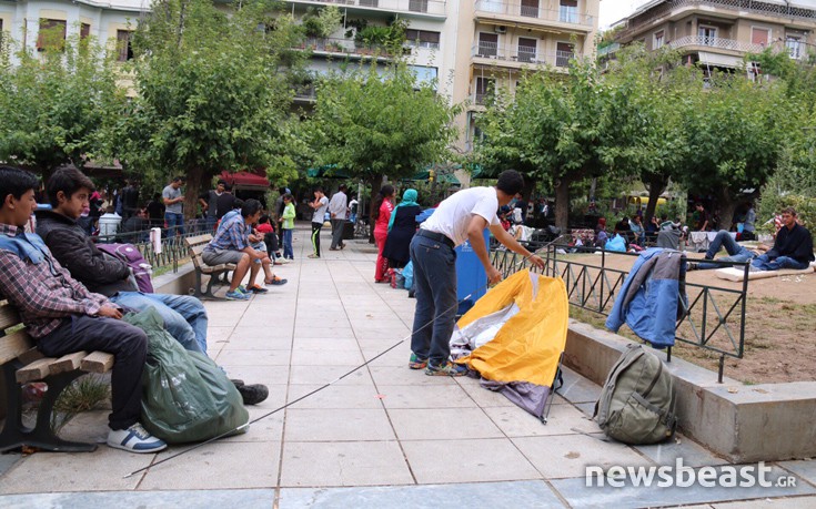 viktoamed3 viktoamed3