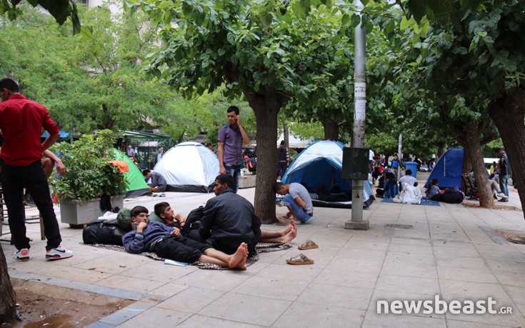 viktoamed6 viktoamed6