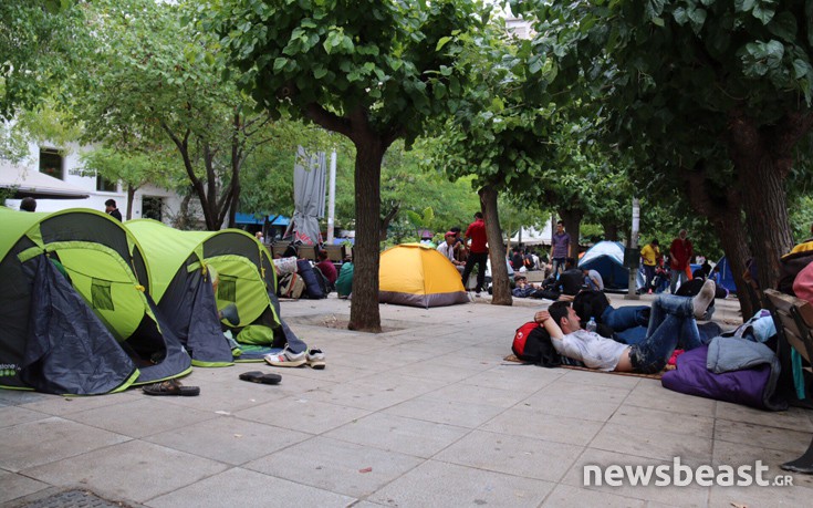 viktoamed7 viktoamed7