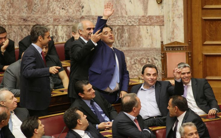 Με τη «συνδρομή» του Μεϊμαράκη ψήφισε ο Γεωργιάδης
