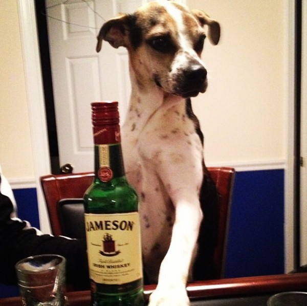 0c2b440106415ac82de2b20d3995c350