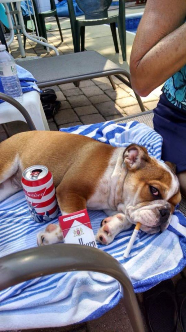 10bccdc588a48276701ec13c6ce481f8