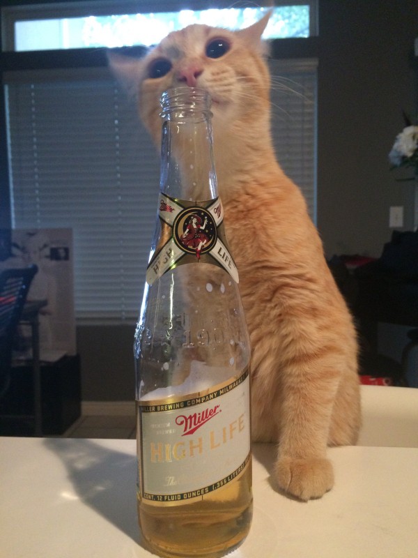 25ddd3c0e8125a6ddd1b9d07b97f0b04