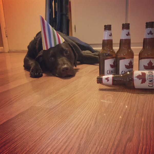 290fa94151253aac94dfbc1495a6858c