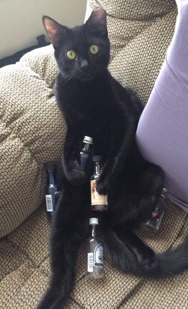 2d5cbf1e9d7e66362361e0b6f24906c7