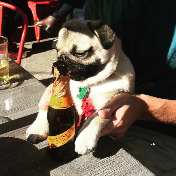 4f356c3e85071efed373ad68b0780970