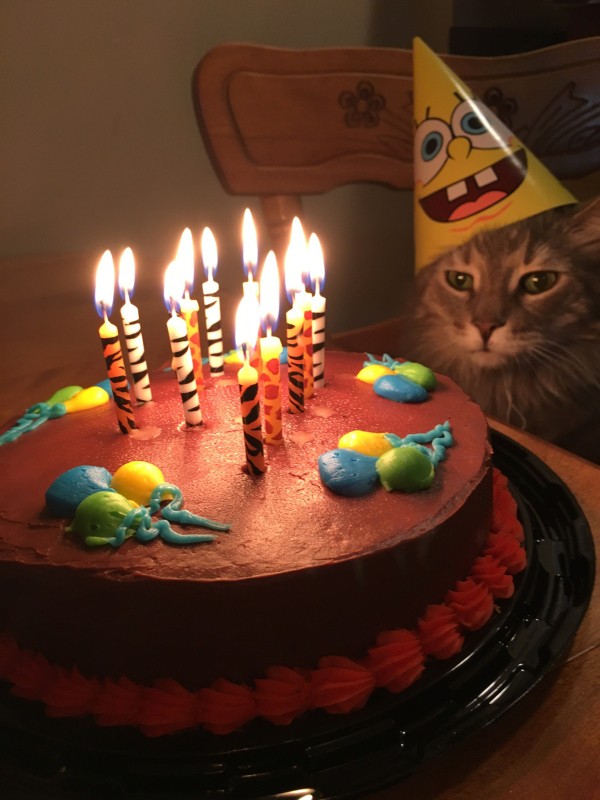 77627d85642162abf098749fca8febe4