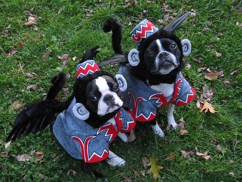 7c60fcd33e36cfa5501fc48095df8a8a