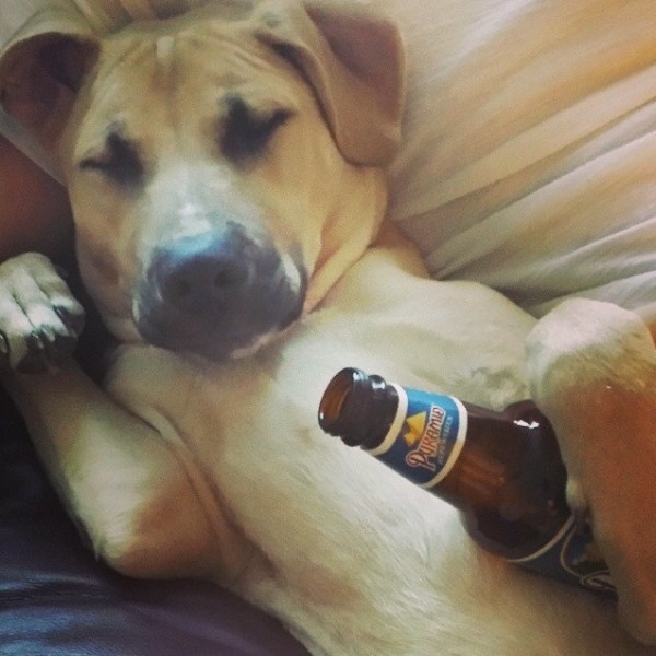 87bdd7c35435cc38655041909270861b