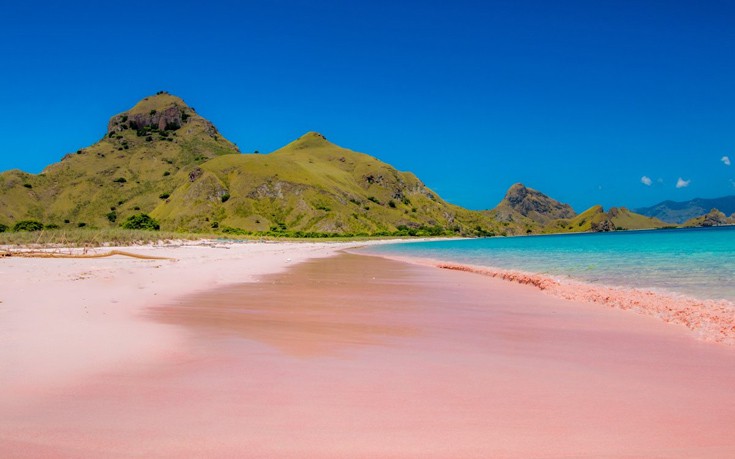 Η Pantai Merah (ροζ παραλία) βρίσκεται στο νησί Komodo και πήρε το όνομά της ακριβώς από το χρώμα της άμμου. Η Pantai Merah (ροζ παραλία) βρίσκεται στο νησί Komodo και πήρε το όνομά της ακριβώς από το χρώμα της άμμου.