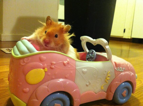 a9d7c8e074ebb6581882da5140e4c0e2