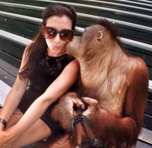 animals-that-dont-suck-30-photos-12