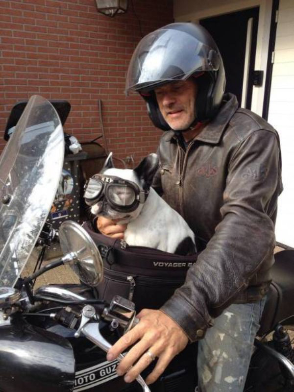 animals-that-dont-suck-30-photos-13