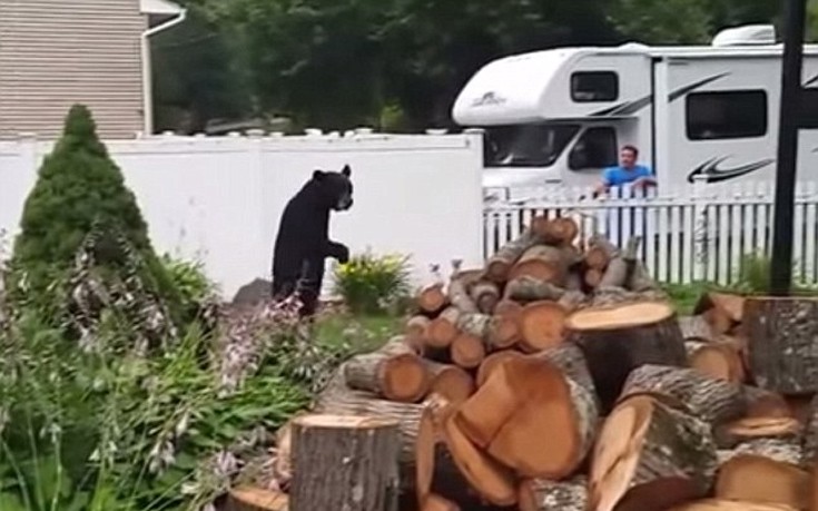 arkoudasd2 arkoudasd2