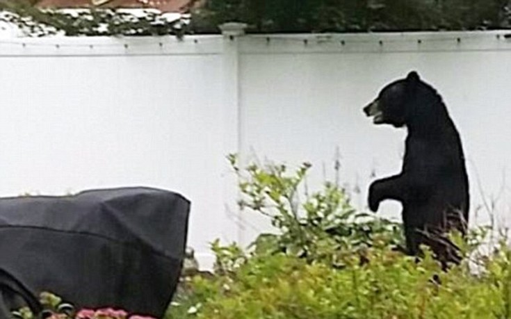 arkoudasd3 arkoudasd3