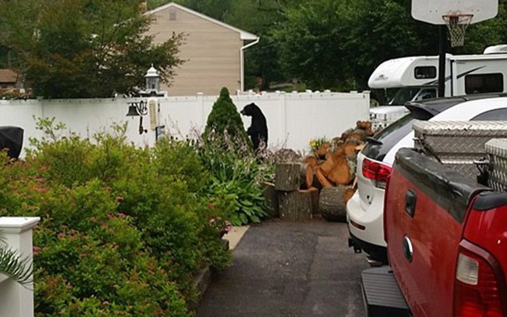 arkoudasd4 arkoudasd4