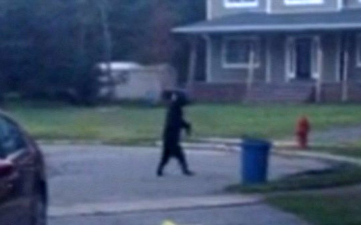 arkoudasd5 arkoudasd5