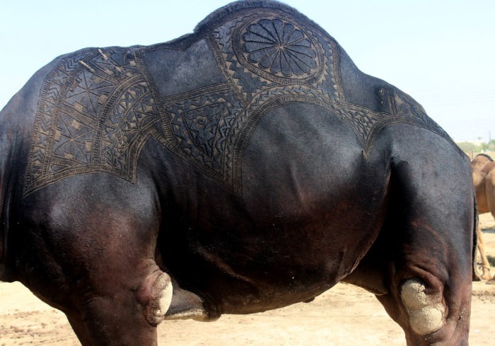 barbers_in_pakistan_07 barbers_in_pakistan_07