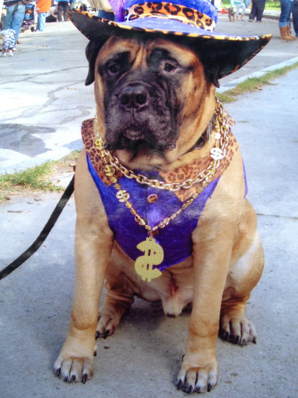 f139c9f8d552c1cc7776cf51c0b0c531