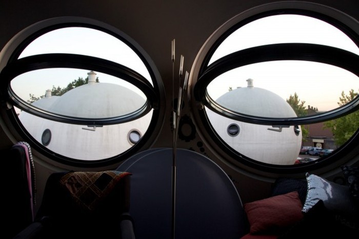 life_in_a_bowl_05 life_in_a_bowl_05