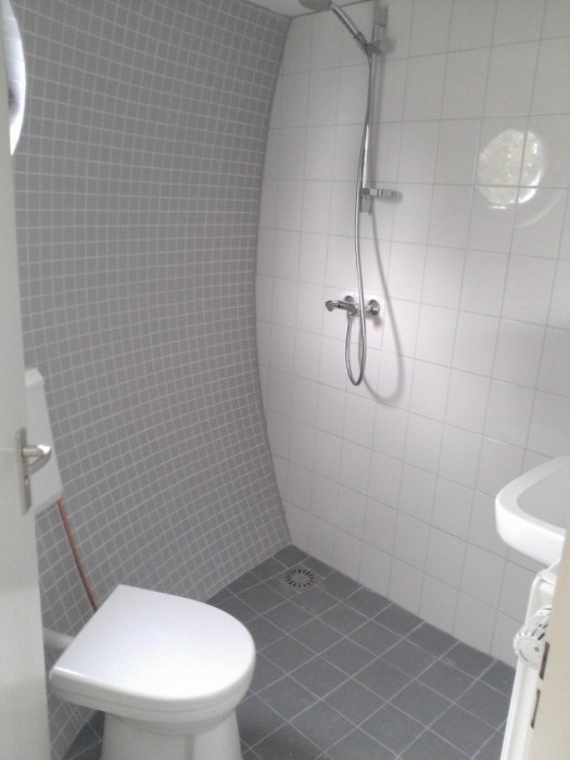 life_in_a_bowl_06 life_in_a_bowl_06