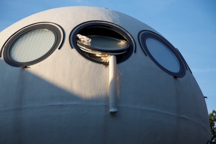 life_in_a_bowl_08 life_in_a_bowl_08