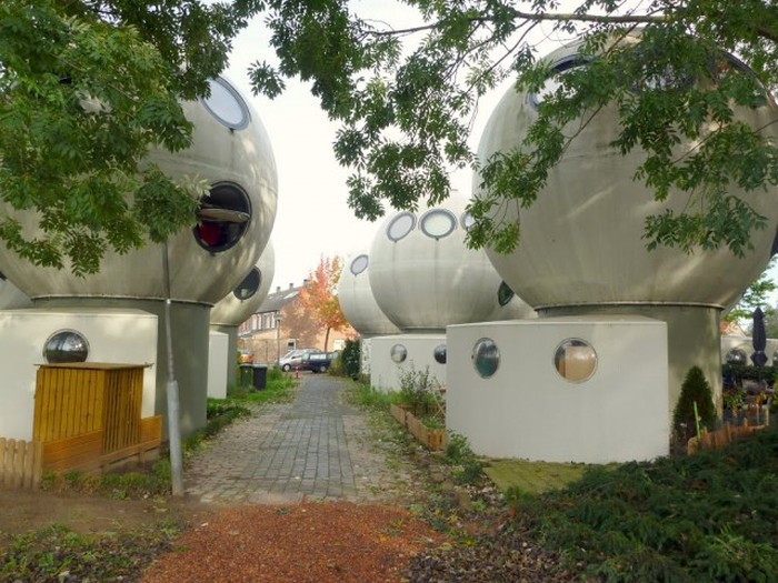 life_in_a_bowl_11 life_in_a_bowl_11