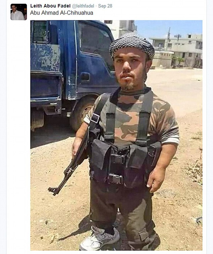 maisdnfdam3 maisdnfdam3