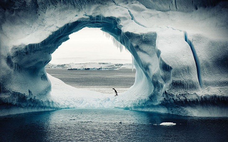 Φωτογραφικό ταξίδι στην άγρια ομορφιά της Ανταρκτικής