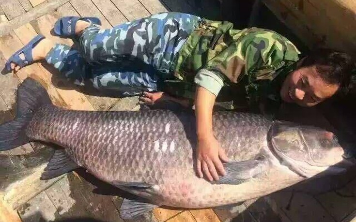 Αλιείς έπιασαν στην Κίνα ψάρι 90 κιλών