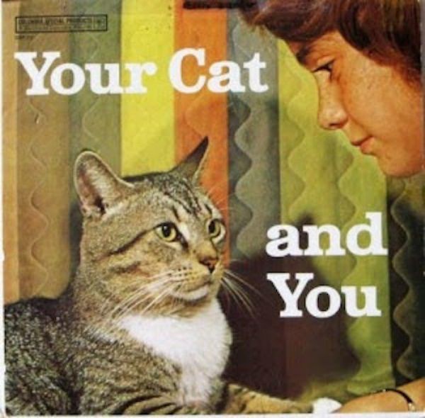 retro-album-covers-that-will-make-you-say-wtf-25-photos-3